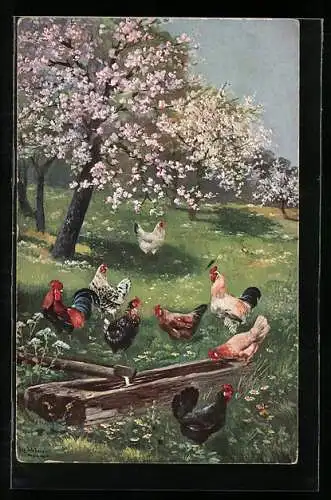 Künstler-AK Alfred Schönian: Hahn und Hühner an einer Tränke