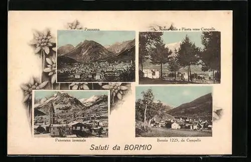 AK Bormio, Panorama, Nuove Ville e Pineta verso Campello