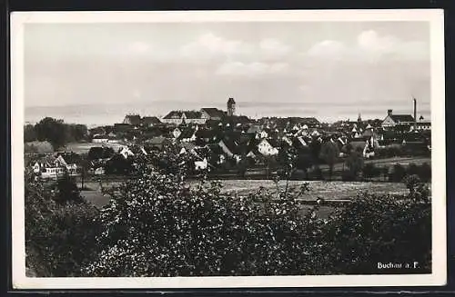 AK Buchau a. F., Ortsansicht aus der Vogelschau