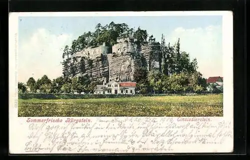AK Bürgstein, Ansicht der Sommerfrische, Einsiedlerstein mit Ruine