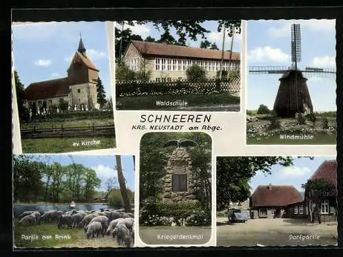AK Schneeren /Neustadt, Waldschule, Windmühle, Ev. Kirche, Kiegerdenkmal, Schafe am Brink