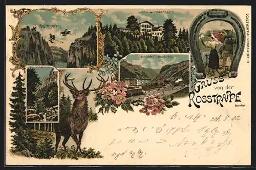 Lithographie Thale, Hotel zur Rosstrappe, der Rosstrappfelsen, Eingang ins Bodethal