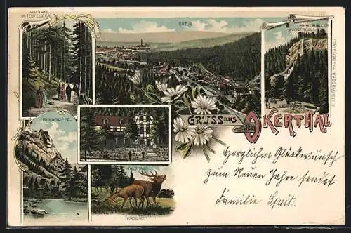 Lithographie Oker, Rabowklippe, Romkerhaller Wasserfall, Waldhaus