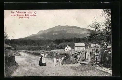 AK Falkenstein /Bayr. Wald, Ansicht von der LIndenberger Mühle aus