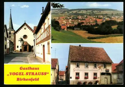 AK Birkenfeld / Marktheidenfeld, Gasthaus Vogelstrauss, Totalansicht des Ortes