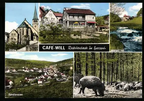 AK Rechtenbach im Spessart, Café von Ludwig Will, Mühle i. Tal, Wildschwein im Wald