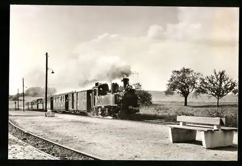AK Friedewald / Sachsen, Zug der Traditionsbahn Radebeul Ost-Radeburg im Bahnhof