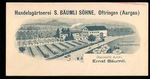 Vertreterkarte Handelsgärtnerei S. Bäumli Söhne, Oftringen, Inh. Ernst Bäumli