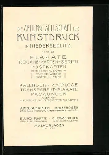 Vertreterkarte Niedersedlitz, Aktiengesellschaft für Kunstdruck, Gerokstr. 47 Fertigt Plakate, Postkarten, Reklamekarten