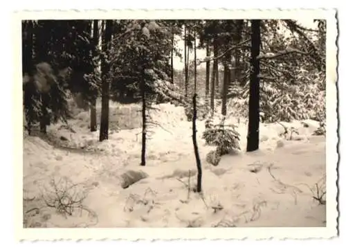 10 Fotografien unbekannter Fotograf, Ansicht Gemünda, Bundeswehr-Übung an der DDR-Zonengrenze teilweise im Winter