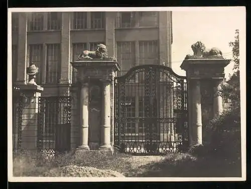 Fotografie unbekannter Fotograf, Ansicht Augsburg, Portal mit Säulen und Löwen-Statuen