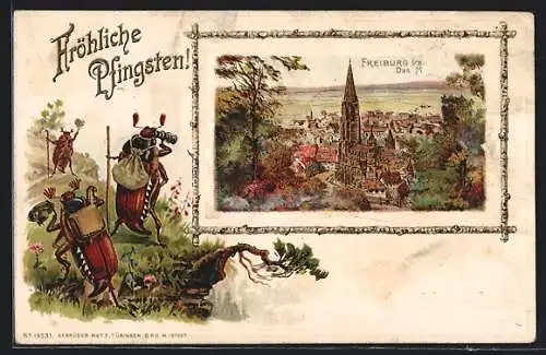 Passepartout-Lithographie Freiburg i. B., Münster, Maikäfer auf einer Wanderung