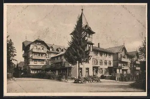 AK Hundseck /Bühlertal, Kurhaus Hundseck