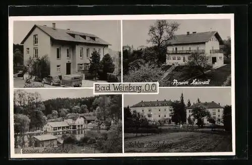 AK Prambachkirchen, Bad Weinberg, Kurhaus, Pension Kainradl, Schloss Dachsberg und Pension Dachsberg