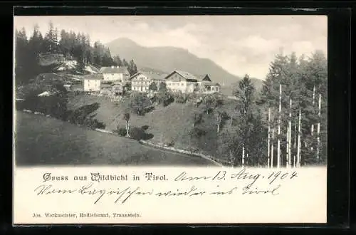 AK Wildbichl in Tirol, Ortsansicht am Waldrand