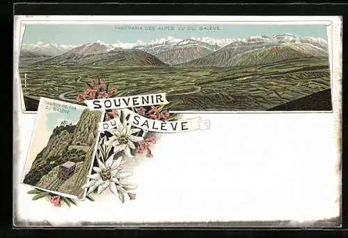 Lithographie Salève, Chemin de Fer, Panorama des Alpes