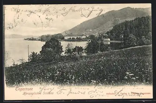 AK Tegernsee, Herzogliches Schloss