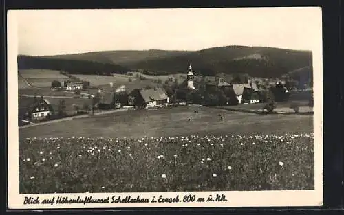AK Schellerhau i. Erzgeb., Ortspartie mit Kirche