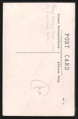 AK Feldberg i. Taunus, Ansicht vom Turm