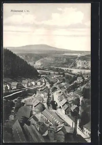 AK Rübeland i. H., Ortsansicht mit Hof aus der Vogelschau