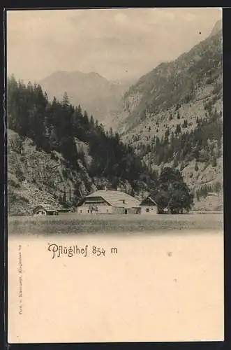 AK Malta /Kärnten, Blick zum Pflüglhof