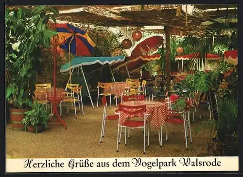 AK Walsrode, Tropencafe in der Paradieshalle im Vogelpark