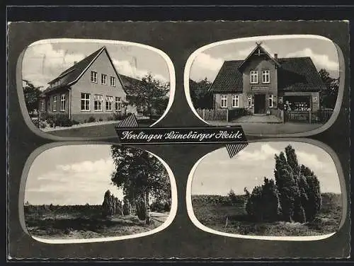 AK Krelingen /Lüneburger Heide, Lebensmittelgeschäft Barenscheer, Wohnhaus, Ortspartie