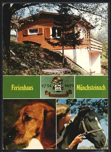 AK Münchsteinach, Das Ferienhaus Konrad Frühwald, Hund und Pferd