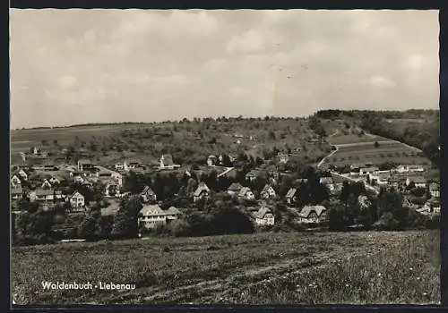 AK Waldenbuch-Liebenau, Ortsansicht von den Wiesen aus