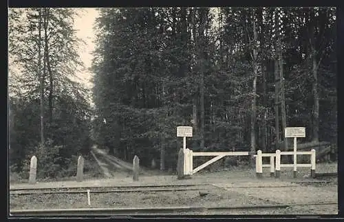 AK Boitsfort, Passage du Chemin de fer dans la forêt de Soignes