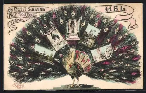 AK Hal, un Paon faisant la roue