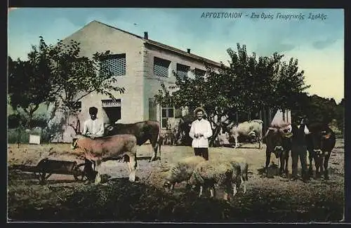 AK Argostoli, Bauern mit Schafen, Eseln und Kühen auf ihrem Hof