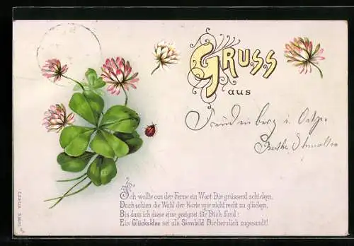 AK Kleeblatt und rosane Blüten mit Marienchenkäfer