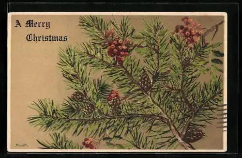 Künstler-AK Tannenzweig mit Zapfen und Beeren, Frohe Weihnachten