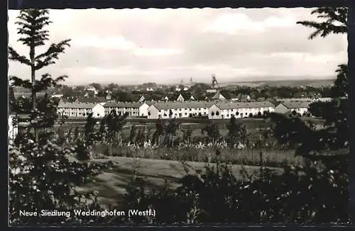 AK Weddinghofen /Westf., Neue Siedlung