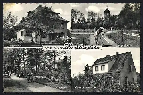 AK Waldliesborn, Hotel Haus Pöhling, Pension Haus Sprengkamp, Kurpark