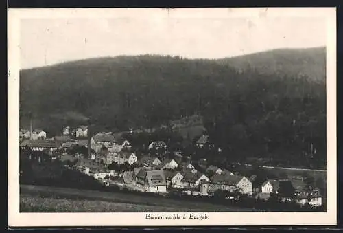 AK Bienenmühle i. Erzgeb., Teilansicht