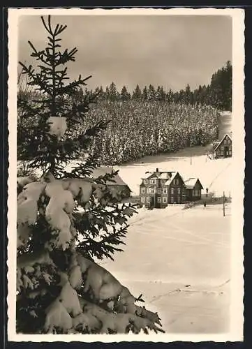 AK Schönwald im Schwarzwald, Pension Haus Dorer im Winter