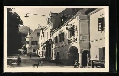 AK Aflenz, Strasse am Gasthof zum schwarzen Adler, Hunde