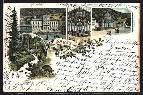 Lithographie Bad Wildbad, Kgl. Karlsbad, Trinkhalle, Inneres der Trinkhalle, Wasserfall