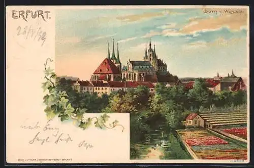 Lithographie Erfurt, Teilansicht mit Dom v. Westen