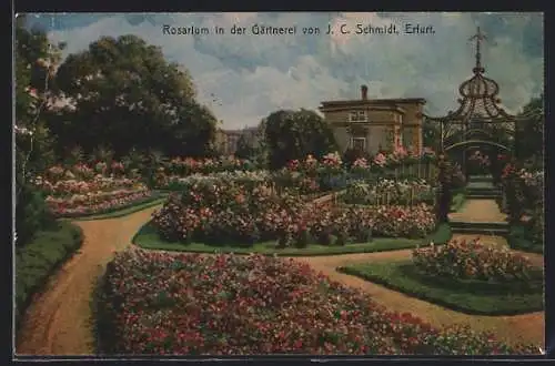 AK Erfurt, Rosarium in der Gärtnerei von J. C. Schmidt