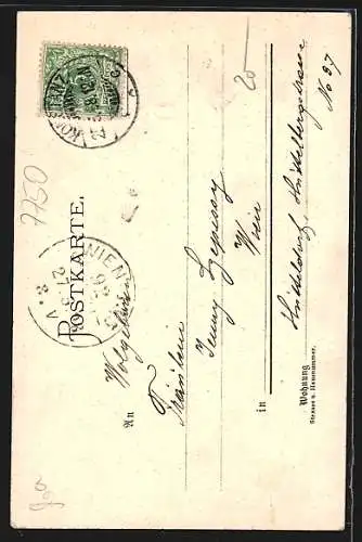Künstler-AK C.Biese: Konstanz, Das Münster