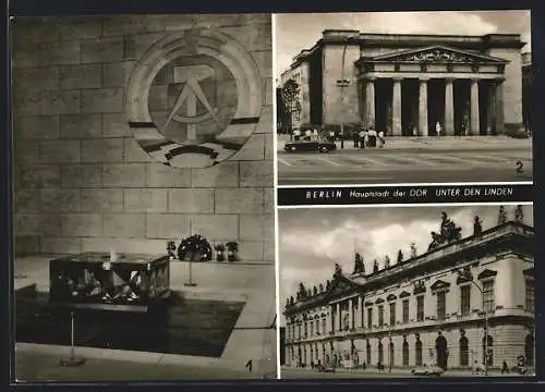 AK Berlin, Mahnmal der Opfer des Faschismus und Militarismus, Museum für Deutsche Geschichte