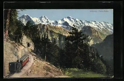 AK Schynige Platte, Bergbahn und Gipfelpanorama