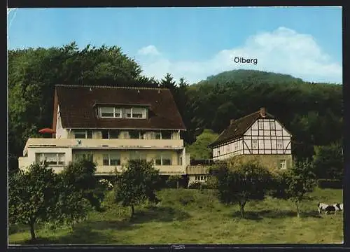 AK Königswinter-Margarethenhöhe, Hotel-Restaurant im Hagen, Am Hang des Ölberges