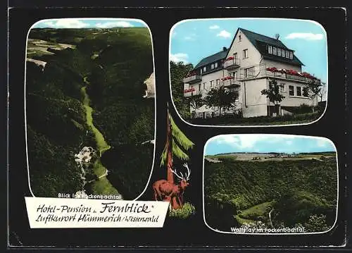 AK Hümmerich /Westerwald, Hotel-Pension Fernblick, Wolfslay im Fockenbachtal