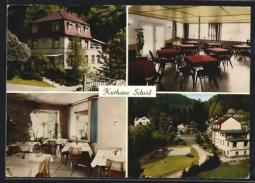 AK Schriesheim /Bergstrasse, Hotel-Pension Kurhaus Scheid