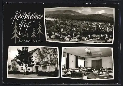 AK Bammental b. Heidelbg., Gasthaus Reilsheimer Hof