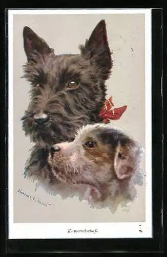Künstler-AK Florence E. Valter: Kameradschaft, Weisser und brauner Terrier